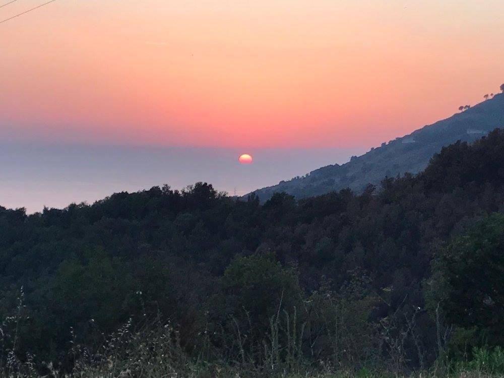 Il Cerro Agriturismo Zagarese Fuscaldo Eksteriør billede