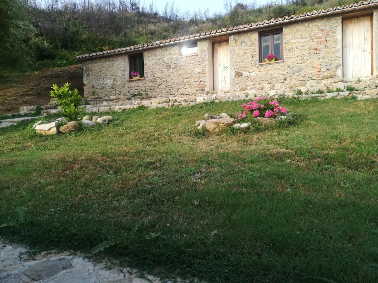 Il Cerro Agriturismo Zagarese Fuscaldo Eksteriør billede
