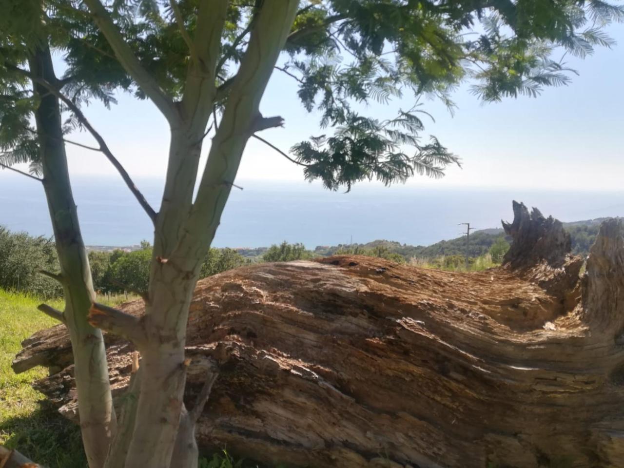 Il Cerro Agriturismo Zagarese Fuscaldo Eksteriør billede