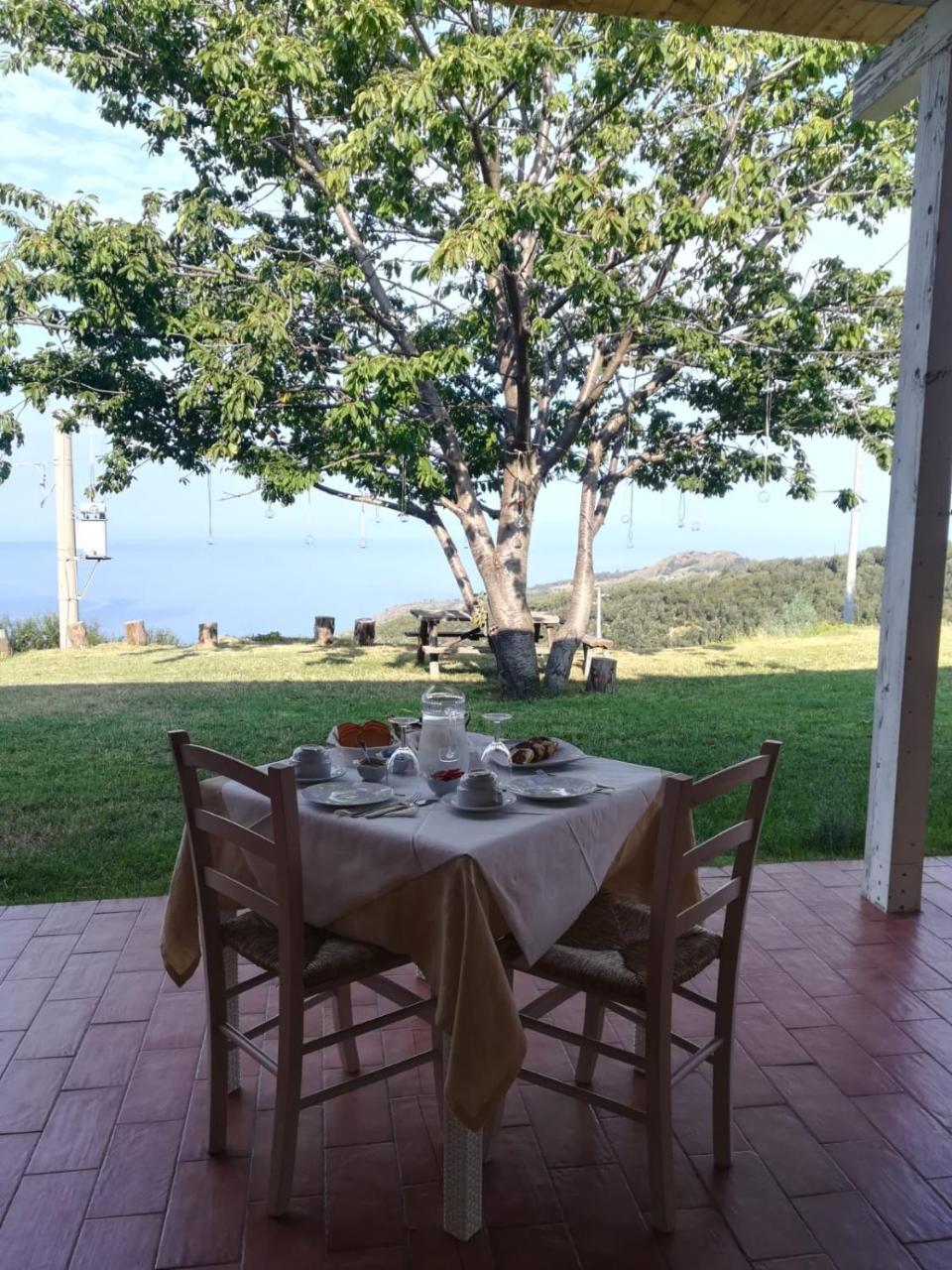 Il Cerro Agriturismo Zagarese Fuscaldo Eksteriør billede